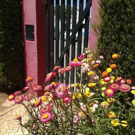 Casa de hóspedes Quatro Sois Mafra